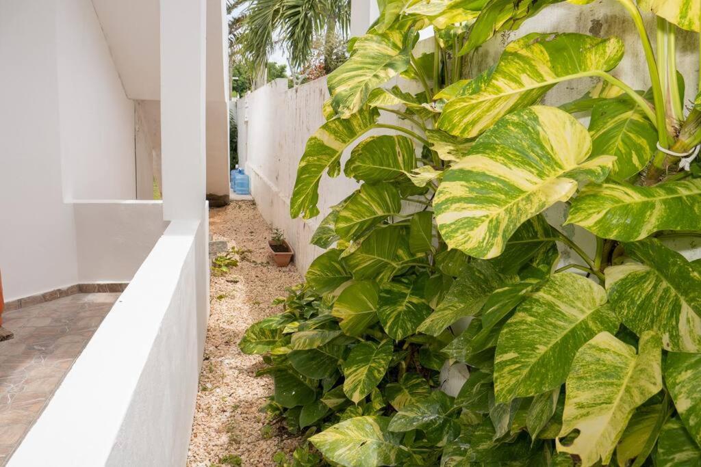 Villa Caribe Bayahibe Exteriér fotografie